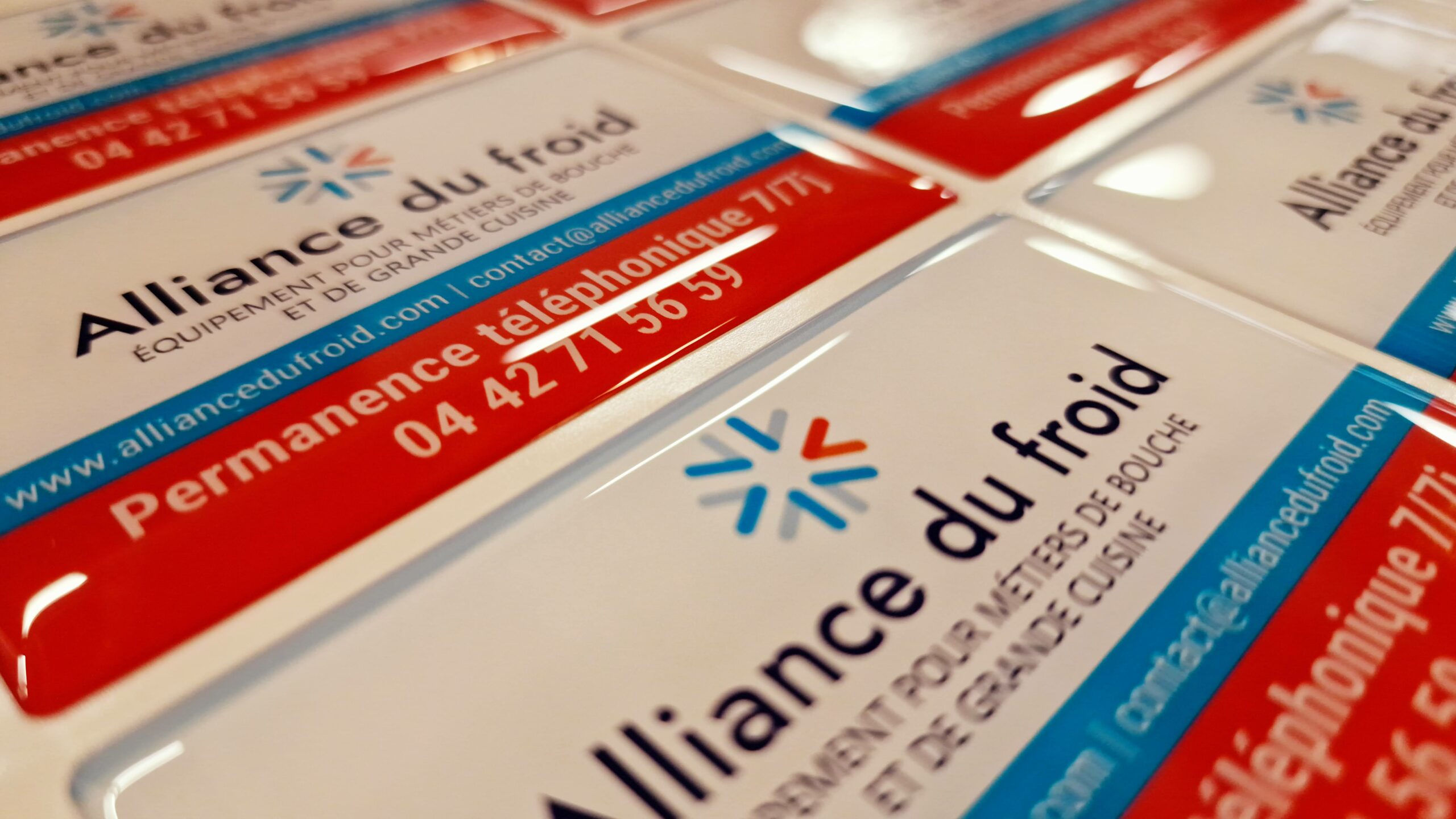 Doming Alliance du Froid